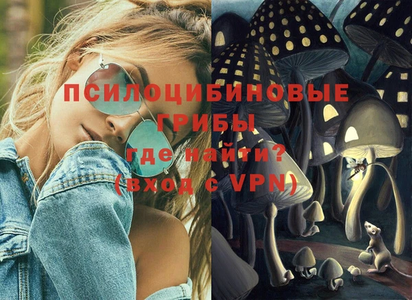 МДПВ Осинники