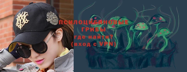 МДПВ Осинники