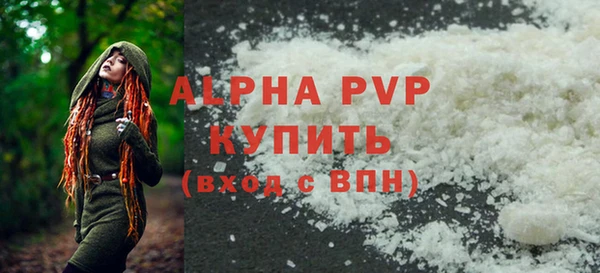 винт Пересвет