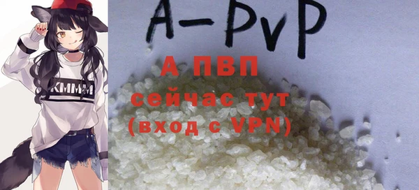 винт Пересвет
