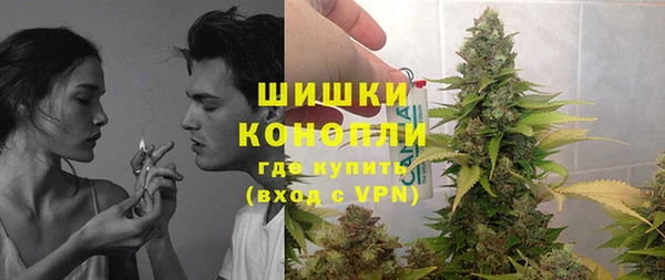 винт Пересвет