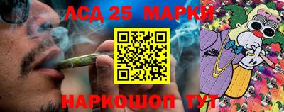 кокс Гатчина