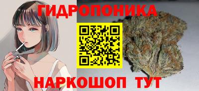 кокс Гатчина