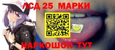 кокс Гатчина