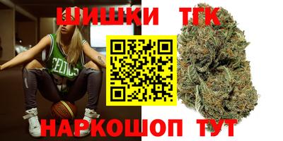 кокс Гатчина