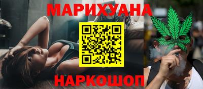 кокс Гатчина
