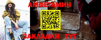 кокс Гатчина