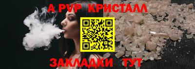кокс Гатчина