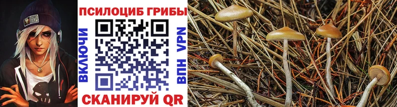 ссылка на мегу зеркало  Уварово  Псилоцибиновые грибы мухоморы 