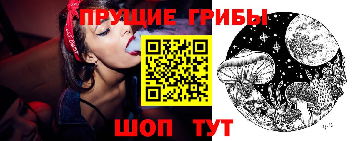 Псилоцибиновые грибы Cubensis Уварово